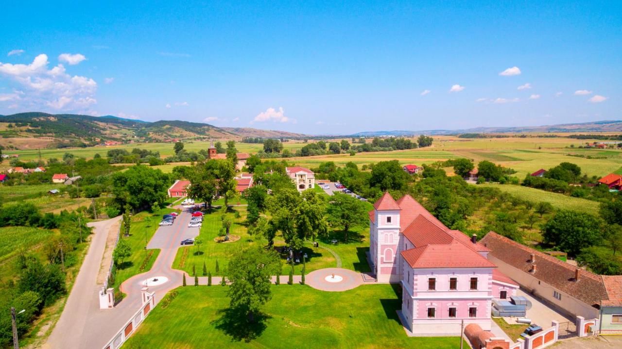 Отель Hotel Cardinal Vintu De Jos-16