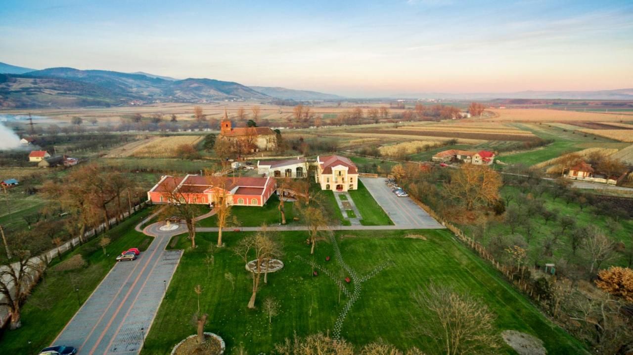 Отель Hotel Cardinal Vintu De Jos