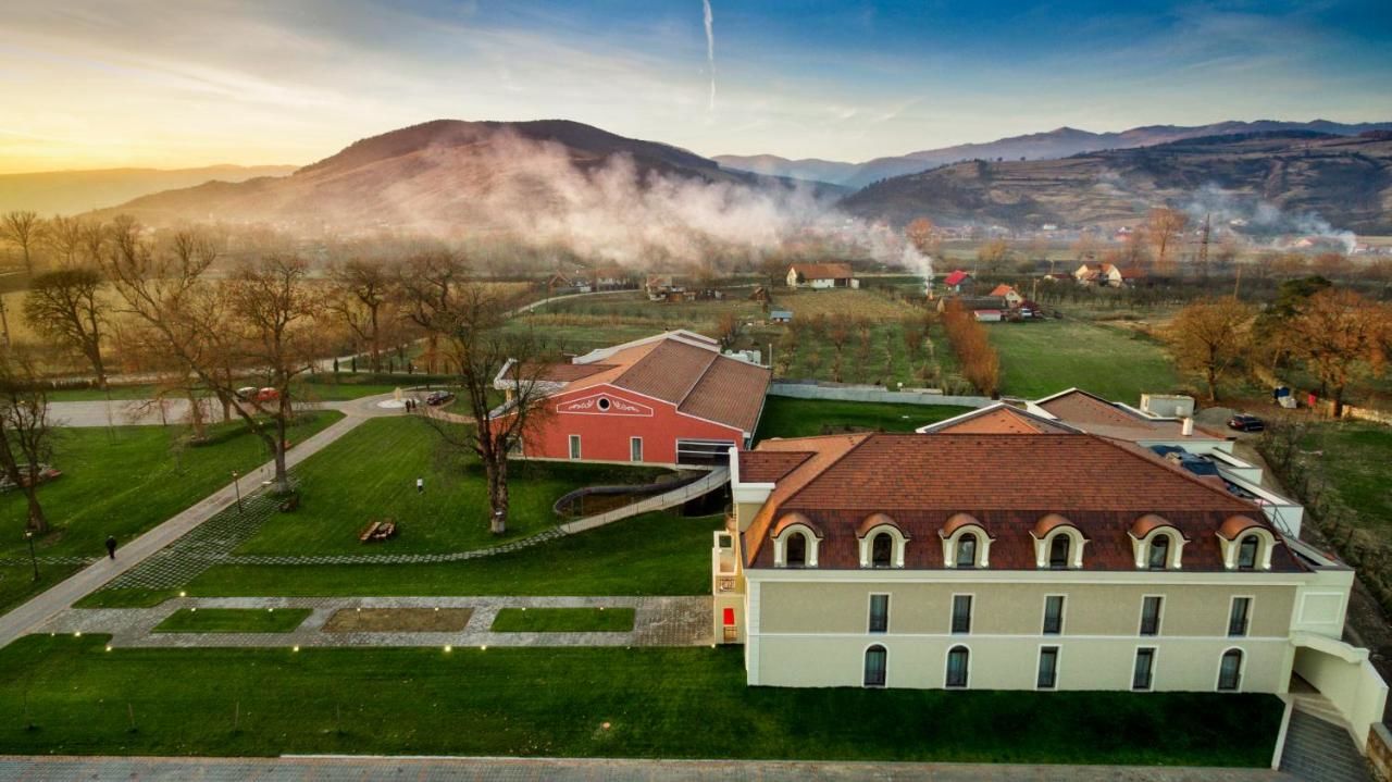 Отель Hotel Cardinal Vintu De Jos